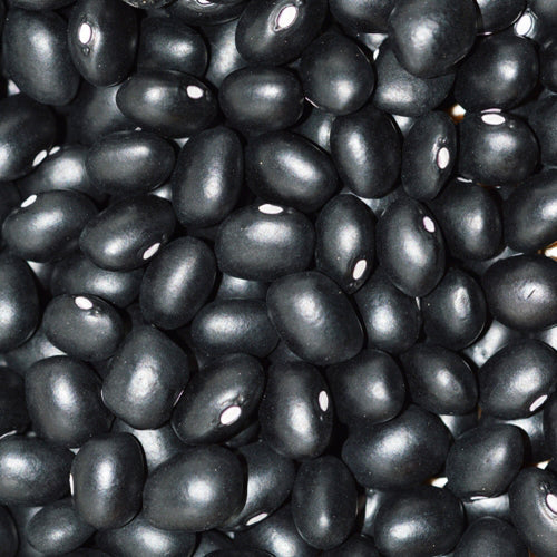 Haricot Sec Hopi Black. Grains secs de haricot noirs et brillants, vus de près. Le cadrage permet de voir les formes, les couleurs et les détails du sujet représenté. Les contours se détachent du fond de l’image, avec des différences de teinte et de texture visibles sur les surfaces. Cette vue accompagne la présentation du produit dans la boutique.