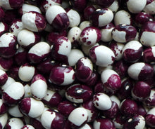Haricot ‘Inca pea’ (<em>Phaseolus vulgaris</em>)