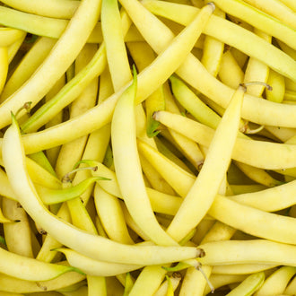Des haricots jaune très pâle sont empilés dans un cadrage rapproché. Les gousses allongées présentent des courbes douces et des extrémités effilées. Quelques petites attaches vertes ou brunes restent visibles entre les fruits. Les haricots se croisent en diagonale et remplissent presque toute l’image, avec des zones d’ombre dans les intervalles de cette composition serrée.