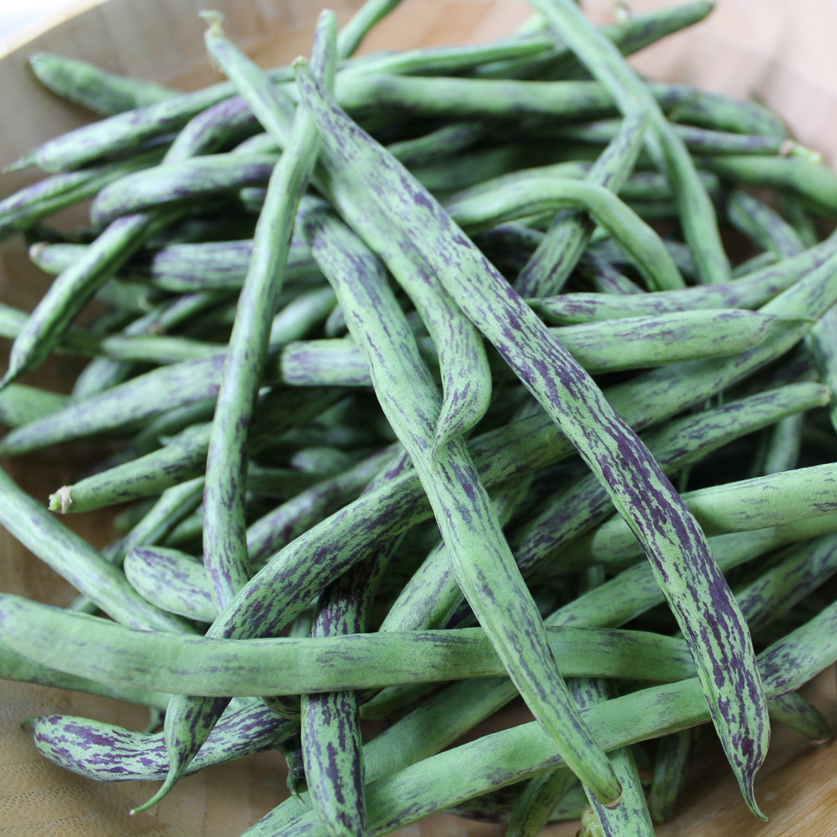 Haricot grimpant Rattlesnake. Haricots verts marbrés de pourpre dans un panier. Le cadrage permet de voir les formes, les couleurs et les détails du sujet représenté. Les contours se détachent du fond de l’image, avec des différences de teinte et de texture visibles sur les surfaces. Cette vue accompagne la présentation du produit dans la boutique.