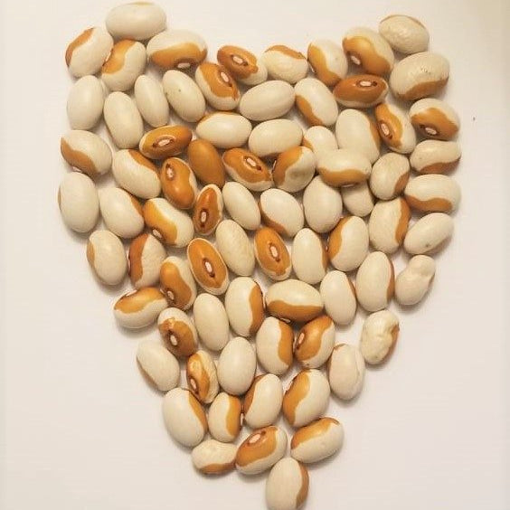 Organic 'Yellow Eyed' Bean