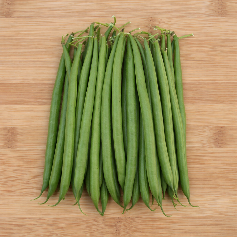 'Sybaris' dwarf bean