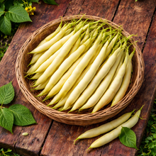 Organic climbing bean 'Grand-Maman Dinel'