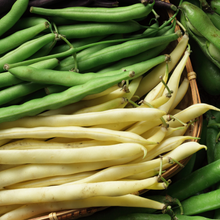 Haricot jaune et vert en mélange