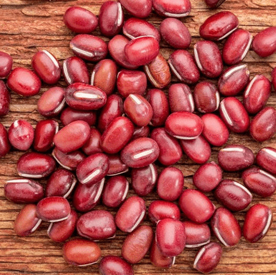 Organic 'Adzuki' dwarf bean