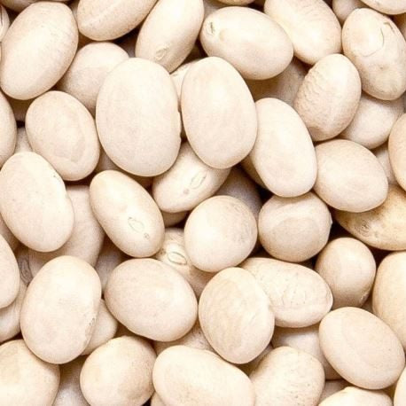 Organic 'Navy' dwarf bean