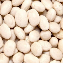 Organic 'Navy' dwarf bean