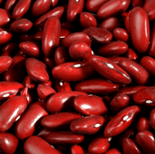 Organic 'Red Kidney' dwarf bean