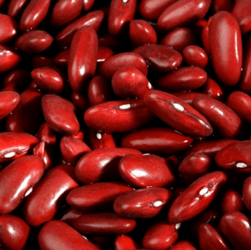 Organic 'Red Kidney' dwarf bean
