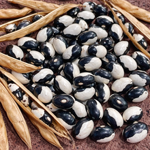 Organic 'Orca' dried dwarf beans