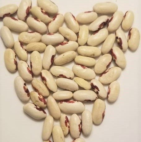 Organic 'Soldier' ​​kidney bean