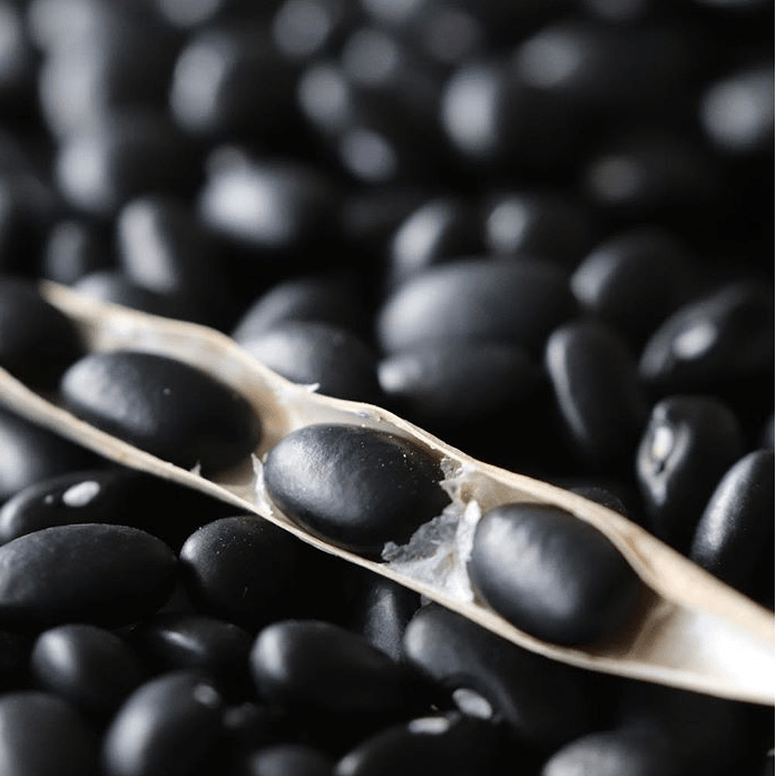Organic runner bean 'Black Turtle'
