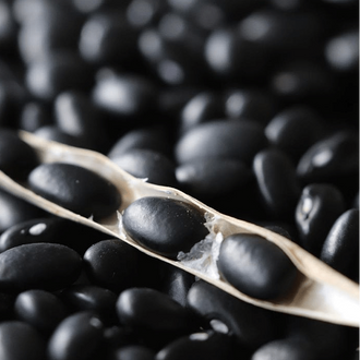 Organic 'Black Turtle' Bean Seeds by Gaia, product image prepared for Canadian gardeners.