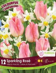 Harmonie Floreale 'Sparkling Rose'