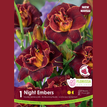 Hémérocalle ‘Night Embers’ ( Hemerocallis ) : des hémérocalles bordeaux à gorge jaune et bord doré. Le visuel Florissa présente la plante et son nom dans la partie inférieure de l’étiquette. La photographie occupe presque toute la surface, tandis que le bandeau du bas rassemble les indications du produit. Cette vue permet de reconnaître son apparence et de distinguer la variété présentée.