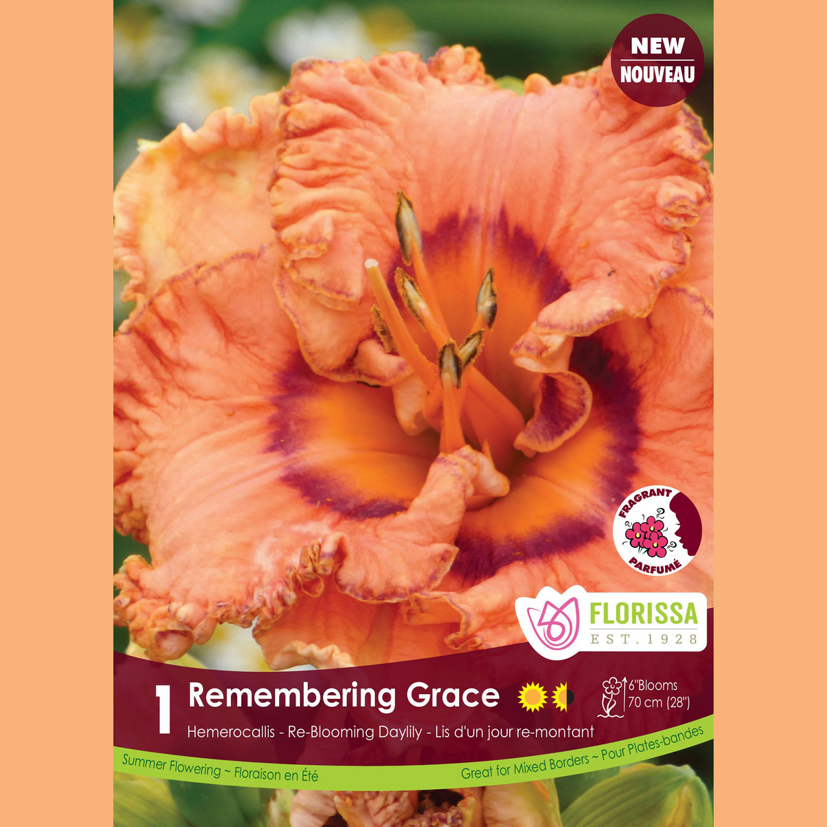 Hémérocalle ‘Remembering Grace’ ( Hemerocallis ) : une hémérocalle pêche à gorge pourprée et bords ondulés. Le visuel Florissa présente la plante et son nom dans la partie inférieure de l’étiquette. La photographie occupe presque toute la surface, tandis que le bandeau du bas rassemble les indications du produit. Cette vue permet de reconnaître son apparence et de distinguer la variété présentée.