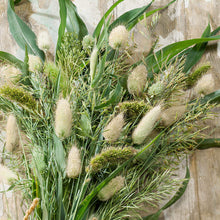 Herbe ornementale 'Mélange annuelle'