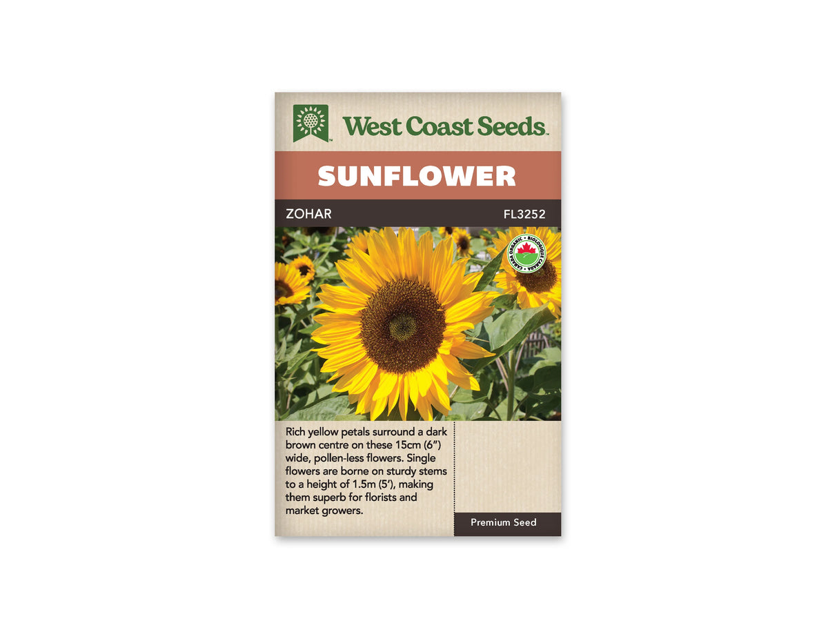 Sachet beige de semences Zohar avec bandeau terre cuite, nom sur fond brun et mention biologique. Une grande fleur jaune doré, aux pétales longs et pointus, occupe le premier plan. Son disque brun foncé présente un centre légèrement verdâtre. Plusieurs autres tournesols et de grandes feuilles vertes remplissent l'arrière-plan lumineux de la photographie.