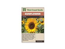 Sachet beige de semences Zohar avec bandeau terre cuite, nom sur fond brun et mention biologique. Une grande fleur jaune doré, aux pétales longs et pointus, occupe le premier plan. Son disque brun foncé présente un centre légèrement verdâtre. Plusieurs autres tournesols et de grandes feuilles vertes remplissent l'arrière-plan lumineux de la photographie.