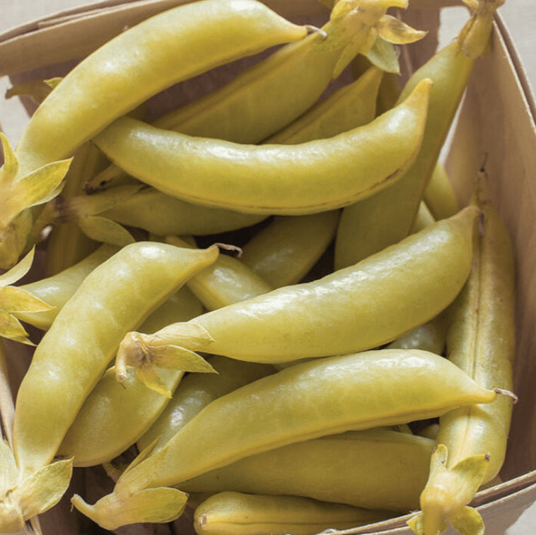 Organic 'Snap II' Honey Snow Peas
