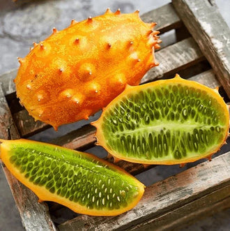 Melon Cornu bio