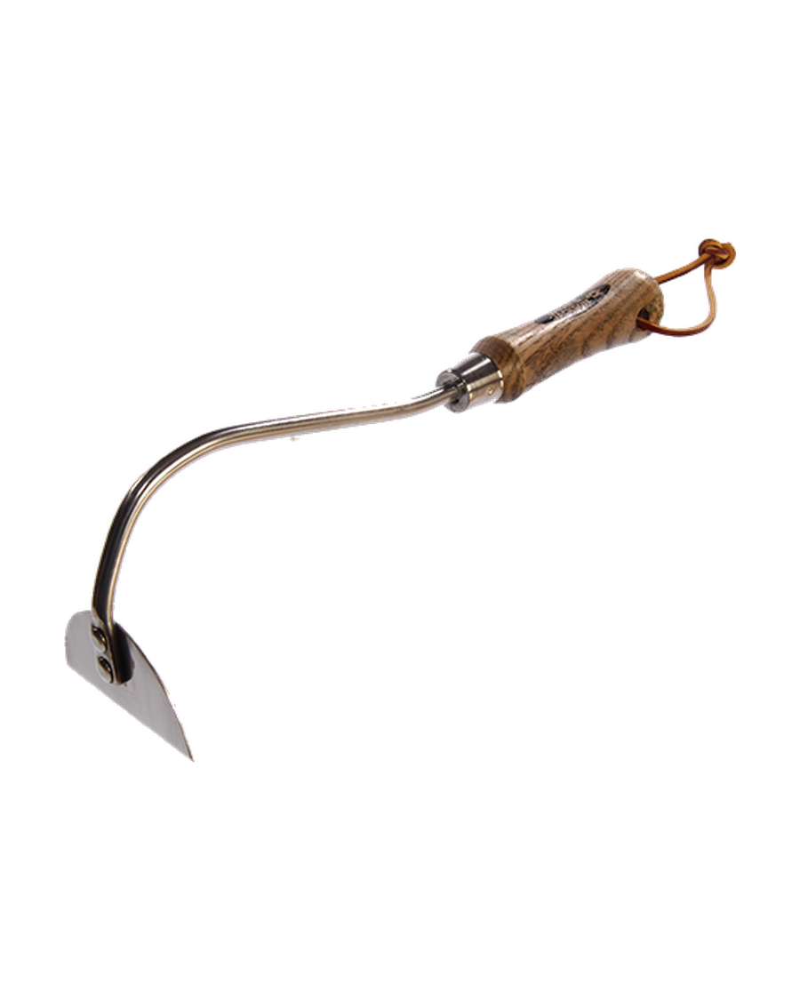 Houe à oignons traditionnelle en acier inoxydable — photo sur fond blanc