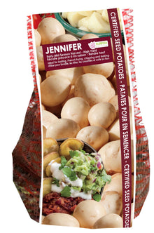 Pomme de terre ‘Jennifer’ ( Solanum tuberosum ) : un sachet vertical illustré de pommes de terre à peau claire. La présentation montre l’emballage avec une illustration du produit et son nom imprimé sur l’étiquette. Les informations sont regroupées sur la face visible, tandis que la photographie met en évidence le contenu ou la plante illustrée. Cette vue vous aide à reconnaître le produit présenté et son conditionnement.