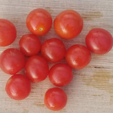 Organic 'Hundreds and Thousands' tomato