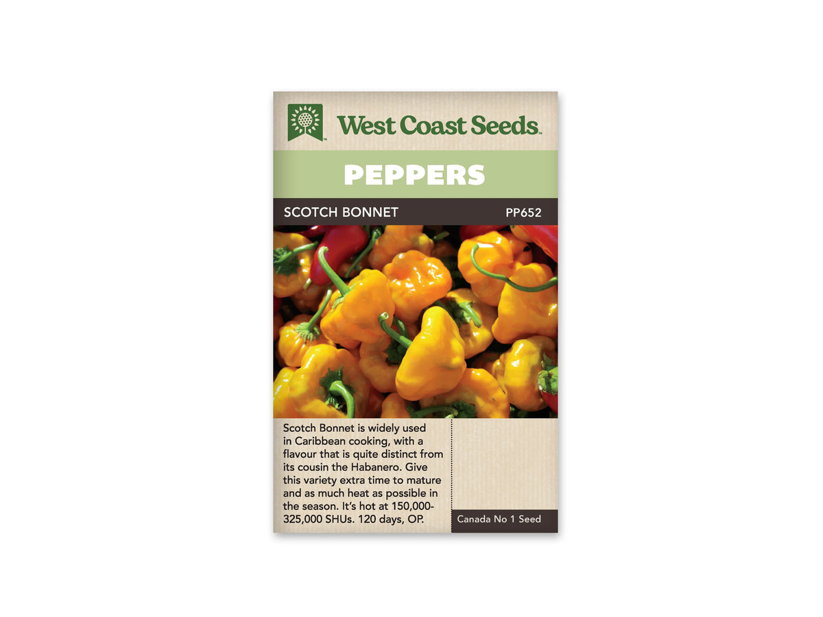 Sachet de semences Scotch Bonnet de West Coast Seeds, avec une bande verte en haut et le nom en noir. La photo montre un tas de petits piments jaunes et orange, courts et lobés, avec des queues vertes. Quelques fruits plus foncés apparaissent derrière. Une zone beige avec du texte occupe le bas du sachet.
