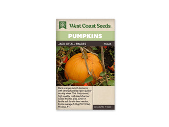 Sachet Jack of All Trades de West Coast Seeds avec une bande vert pâle et le nom sur fond sombre. Une grosse citrouille orange est visible au jardin, avec un pédoncule dressé et des côtes peu marquées. Des tiges sèches passent devant le fruit, entouré de feuilles vertes et de fleurs orange. Le bas du sachet est beige.