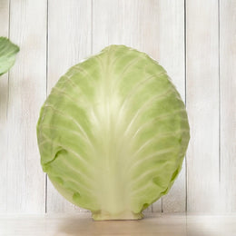 Cabbage 'Copenhagen Market'