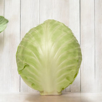 Une grande feuille de chou vert très pâle est présentée debout contre des planches blanches. Sa nervure centrale claire se prolonge vers le haut et se ramifie sur les côtés. Le contour est arrondi, avec de petites ondulations sur le bord. La base repose sur une surface claire, accompagnée d’une ombre douce derrière la feuille isolée.