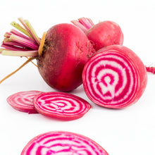 Betterave 'Chioggia Guardsmark' bio