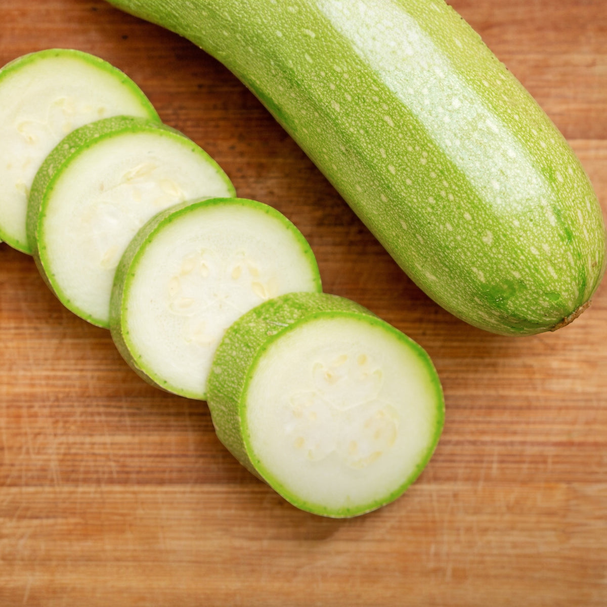 Photo de Zucchini 'Ishtar' F1. Ce zucchini de type libanais produit des fruits courts et lisses, d'un vert très pâle délicatement moucheté de blanc. Prévoyez une surface suffisante au potager pour que le feuillage puisse s'étendre sans étouffer les cultures voisines. Dirigez les tiges vers une zone libre et gardez les fruits accessibles.