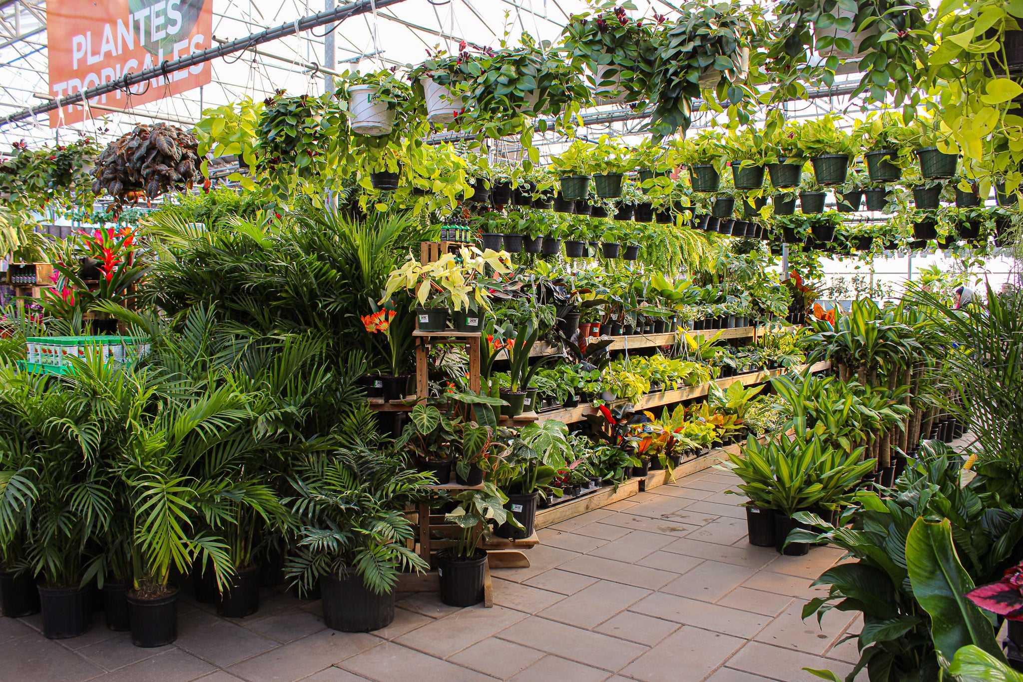 Centre de jardin Brossard avec vaste choix de fleurs, plantes et paniers suspendus