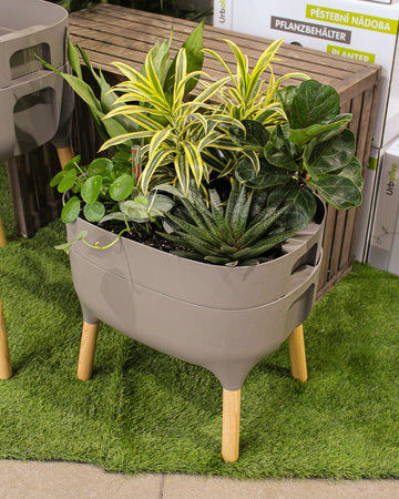 Jardinière basse Urbalive