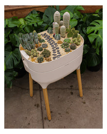 Jardinière haute Urbalive — photo sur fond blanc