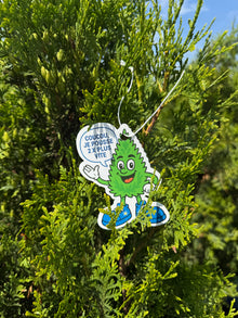 Thuya occidental ‘Private Jet’ (Thuja occidentalis)