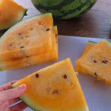 Watermelons 'in trio'