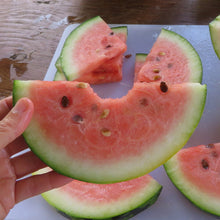 Watermelons 'in trio'
