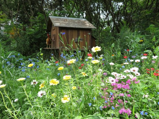 Annual flower mix 2g