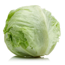 Laitue Iceberg bio