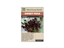 Sachet West Coast Seeds Midnight avec des fleurs de pois de senteur bordeaux très foncé. Les pétales larges et ondulés se détachent devant un fond bleu pâle. Quelques feuilles, tiges et vrilles vertes entourent le bouquet. Les fleurs sont regroupées au centre de la photo, avec des nuances presque noires dans les plis ombragés.