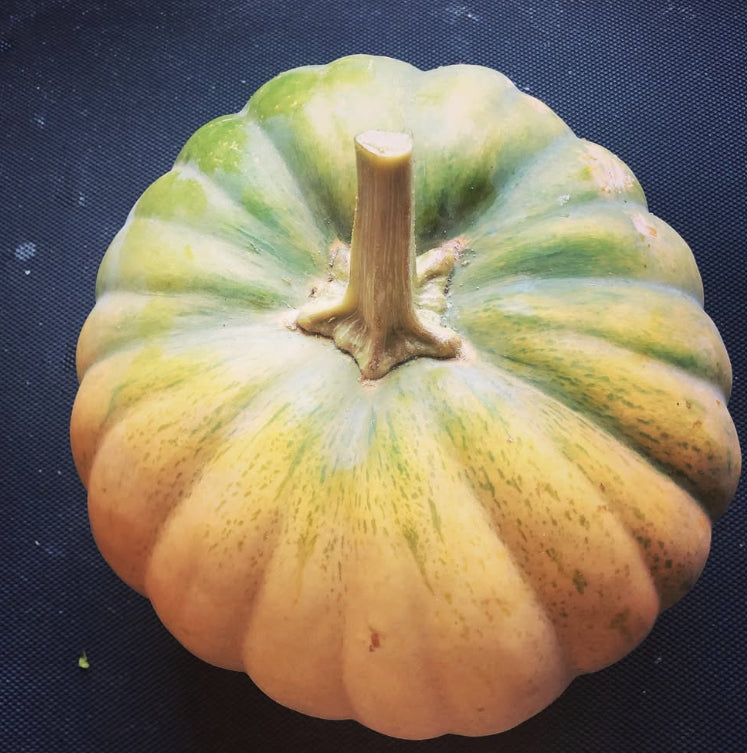 Organic Indian Pumpkin