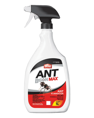 Insecticide Ant B Gon Ortho® Max – Prêt à l'emploi contre les fourmis — photo sur fond blanc
