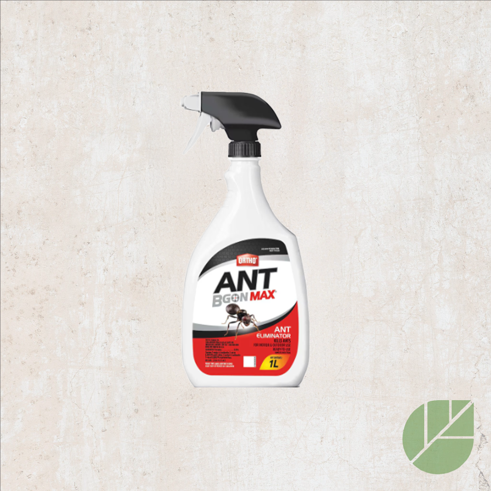 Insecticide Ant B Gon Ortho® Max – Prêt à l'emploi contre les fourmis