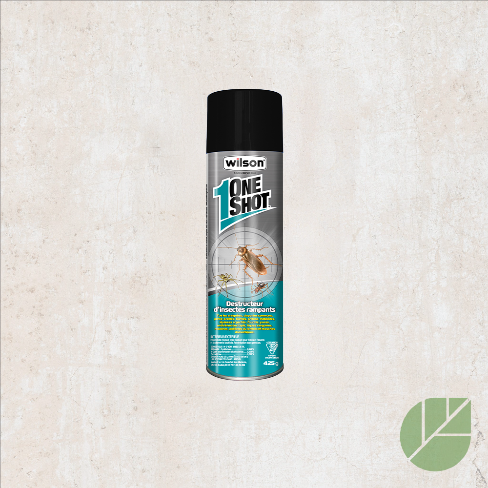 Insecticide for killing crawling insects – Wilson®