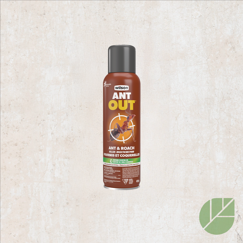 AntOut® Ant Killer – Spray by Wilson