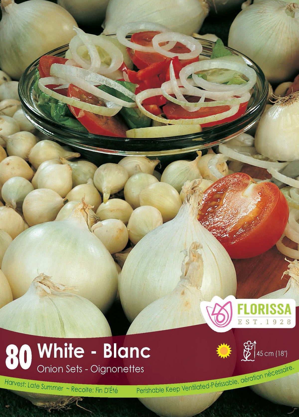 Oignon ‘Blanc’ ( Allium ) : des oignons blancs entiers et coupés avec une salade. Le visuel Florissa présente la plante et son nom dans la partie inférieure de l’étiquette. La photographie occupe presque toute la surface, tandis que le bandeau du bas rassemble les indications du produit. Cette vue permet de reconnaître son apparence et de distinguer la variété présentée.