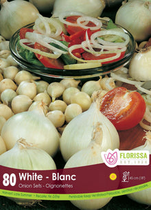 Oignon ‘Blanc’ ( Allium ) : des oignons blancs entiers et coupés avec une salade. Le visuel Florissa présente la plante et son nom dans la partie inférieure de l’étiquette. La photographie occupe presque toute la surface, tandis que le bandeau du bas rassemble les indications du produit. Cette vue permet de reconnaître son apparence et de distinguer la variété présentée.